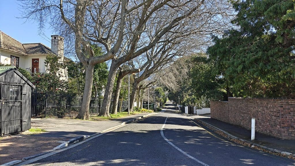 Oak Avenue, a tree-lined residential street in Kenilworth, Cape Town