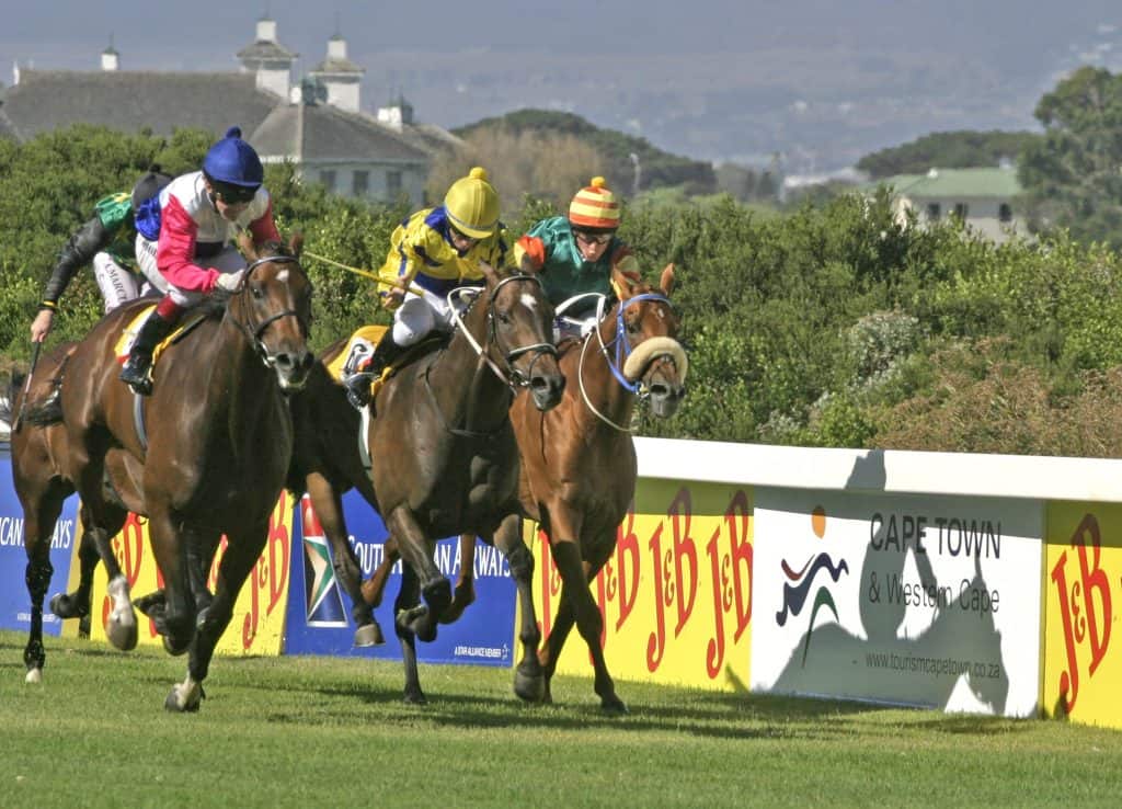 Horse racing at Kenilworth Racecourse, Cape Town — The Property Bureau rental agent in Kenilworth