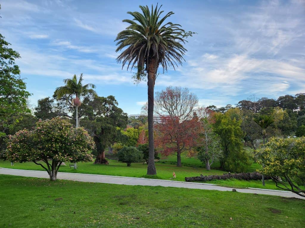 Wynberg Park, Cape Town