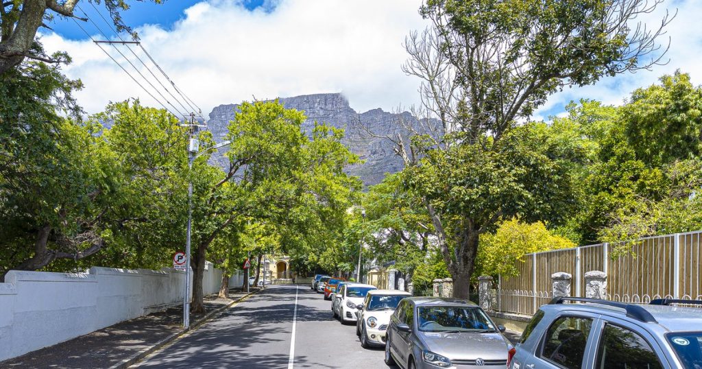 Tree-lined Cape Town residential street below Table Mountain, where many self-managing landlords let homes